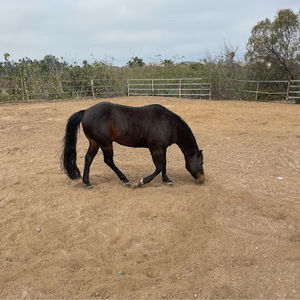 Meet your Posher, Aidan